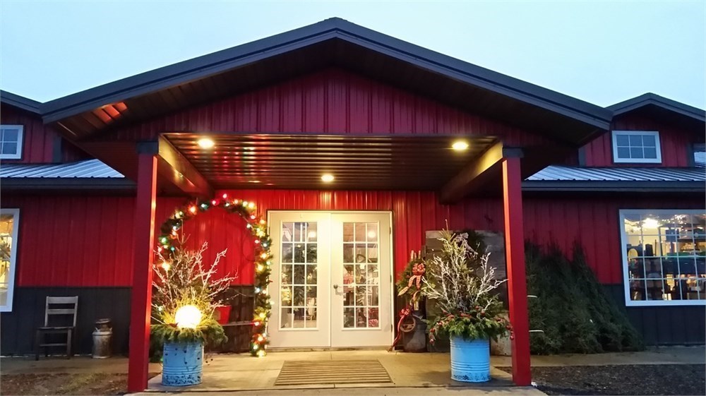 Wheeler Dealer B & B Gardens Oakes & Lisbon 15 Certificate